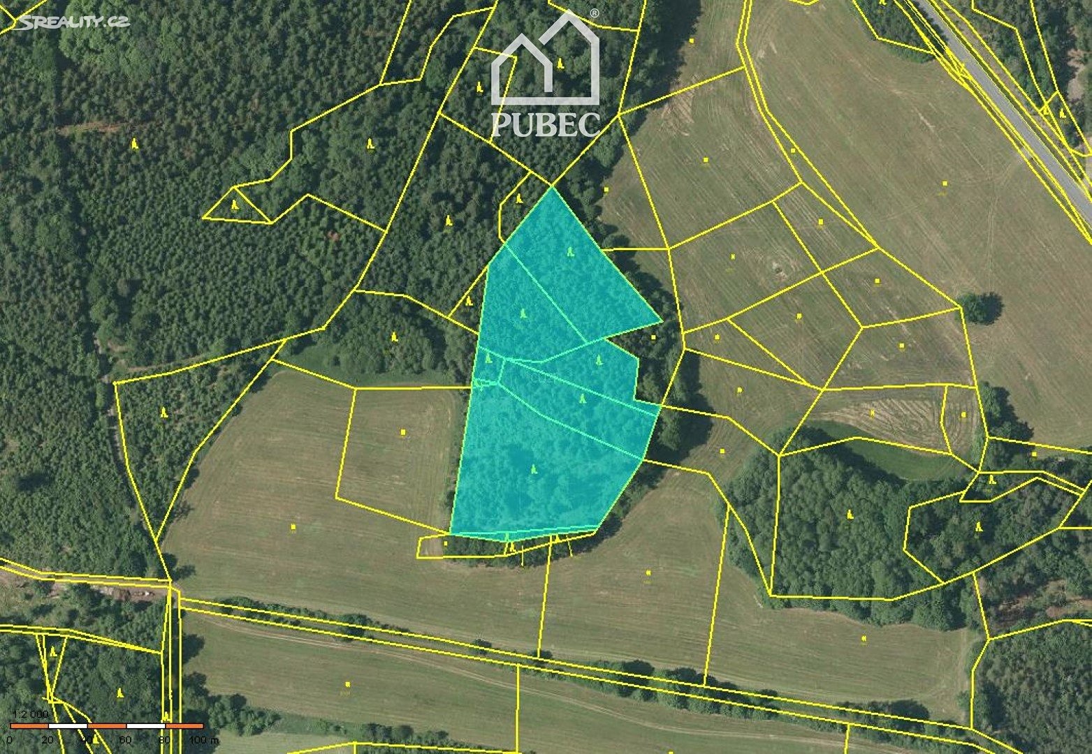 Prodej  lesa 12 966 m², Chanovice, okres Klatovy