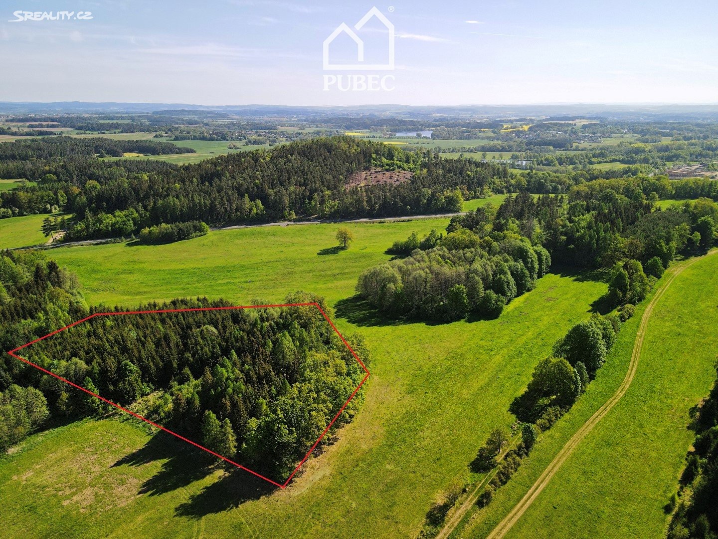 Prodej  lesa 12 966 m², Chanovice, okres Klatovy
