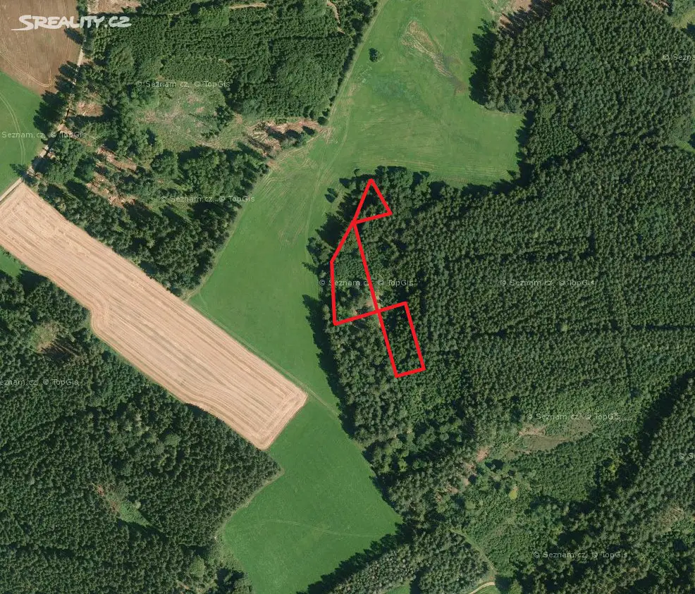 Prodej  lesa 316 m², Mezilesí, okres Pelhřimov