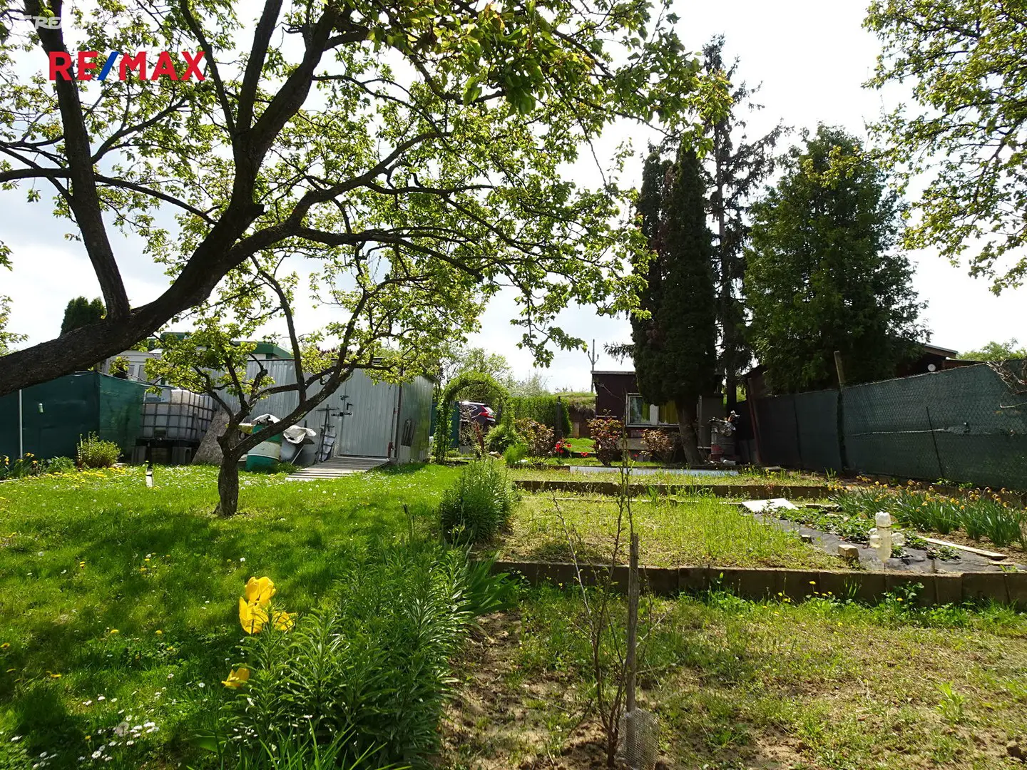 Prodej  zahrady 569 m², Nový Šaldorf-Sedlešovice, okres Znojmo