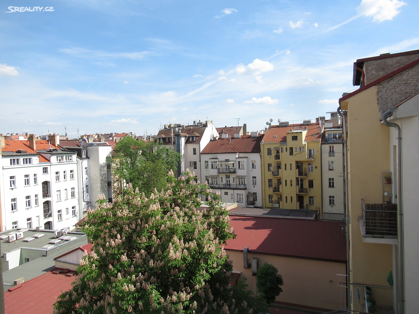 Pronájem bytu 1+1 37 m², Řipská, Praha 3 - Vinohrady