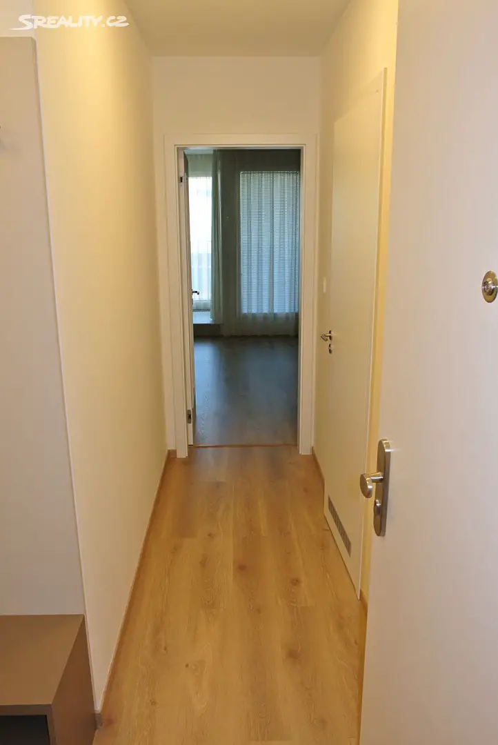 Pronájem bytu 1+kk 46 m², U Červeného mlýna, Brno - Ponava