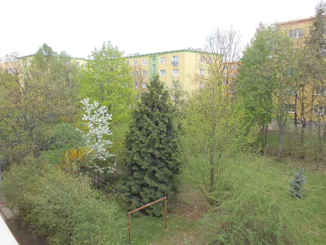 Pronájem bytu 2+1 65 m², Nučická, Praha 10 - Strašnice