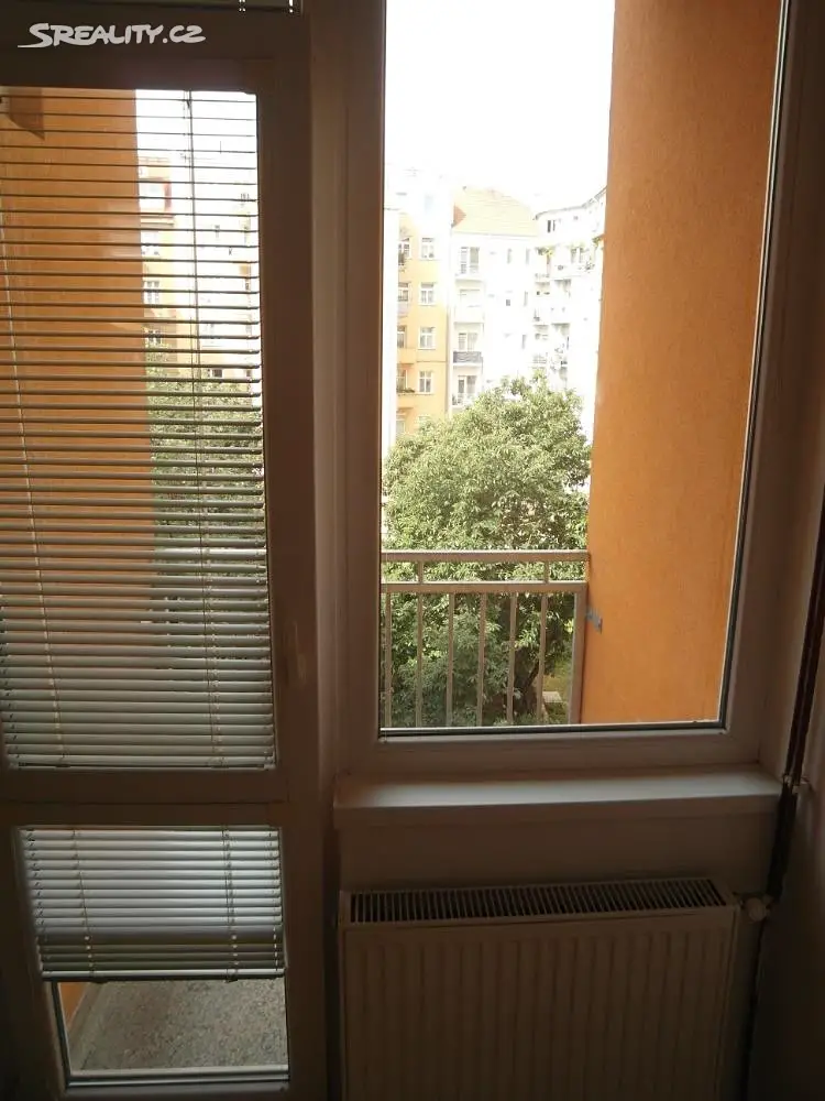 Pronájem bytu 3+1 103 m², Bayerova, Brno - Veveří