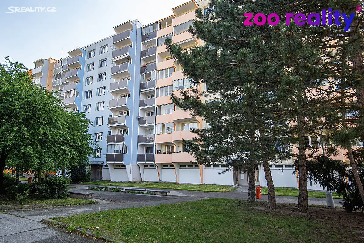 Prodej bytu 2+kk 51 m², Dlouhá, České Budějovice - České Budějovice 2
