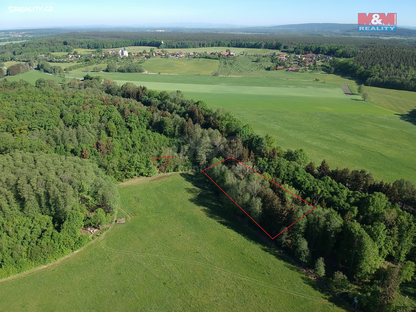 Prodej  lesa 1 620 m², Borohrádek, okres Rychnov nad Kněžnou
