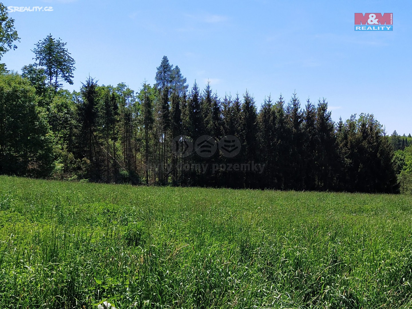 Prodej  lesa 5 943 m², Vilémov - Ždánice, okres Havlíčkův Brod
