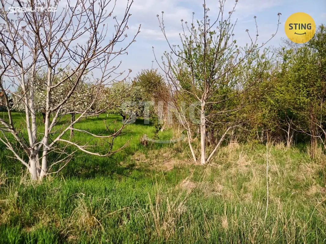 Prodej  zahrady 237 m², Pavlovice u Kojetína - Unčice, okres Prostějov