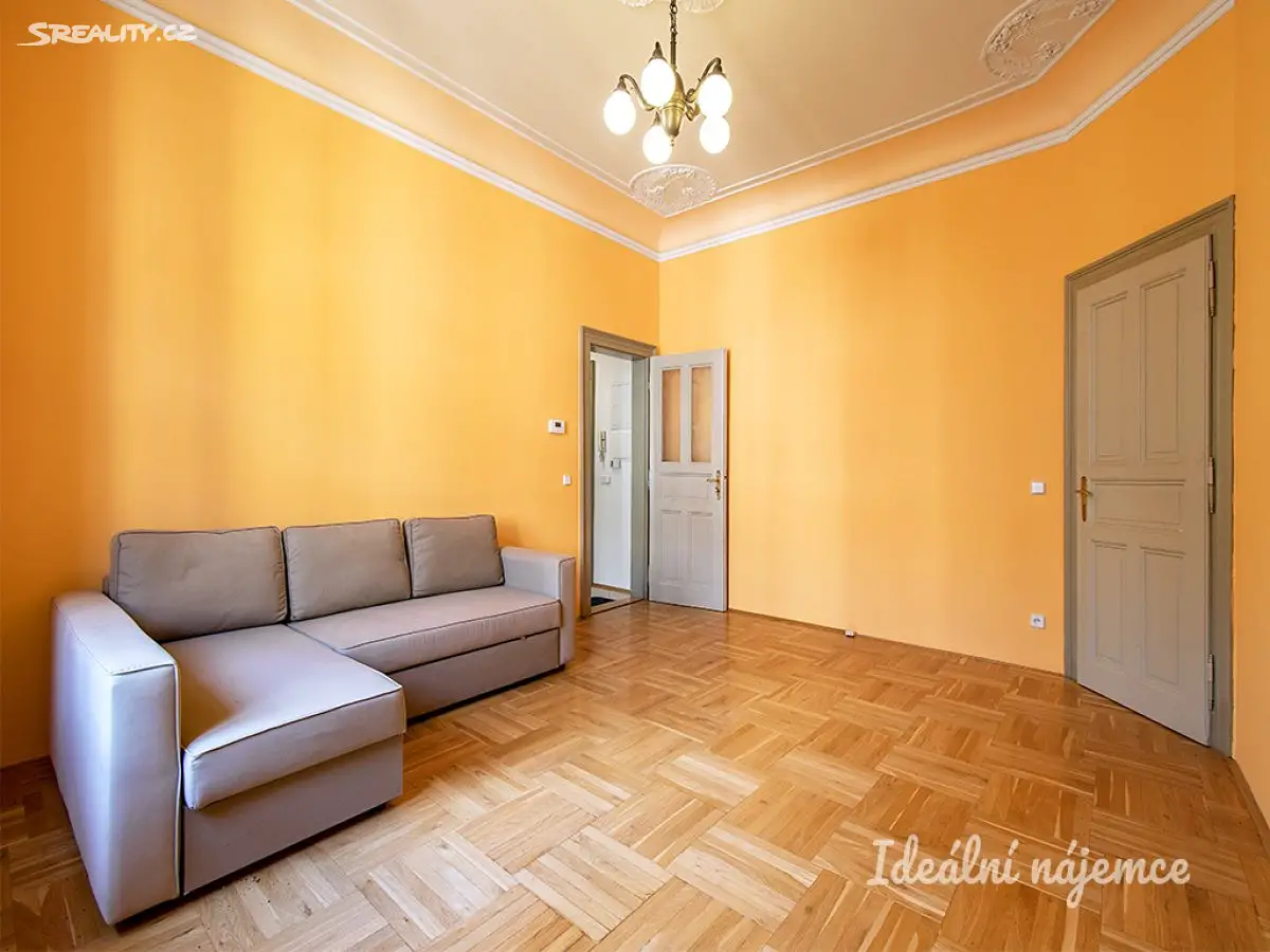 Pronájem bytu 2+1 60 m², Masarykovo nábřeží, Praha 2 - Nové Město