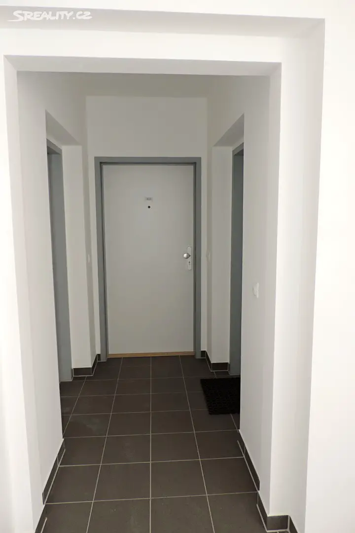 Pronájem bytu 1+kk 27 m², Brigádnická, Zbůch