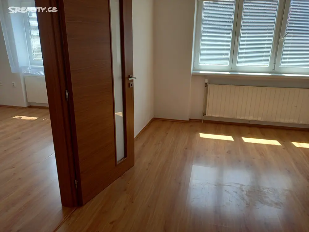 Pronájem bytu 2+1 58 m², Riegrova, Jihlava