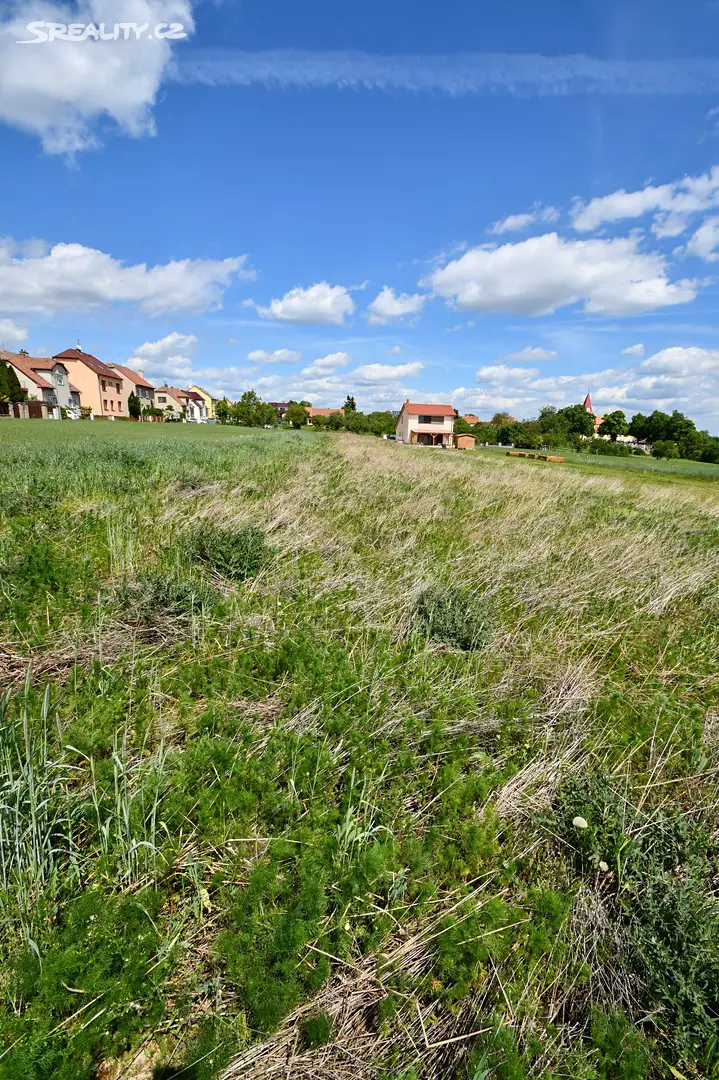 Prodej  stavebního pozemku 2 398 m², Vysoké Popovice, okres Brno-venkov