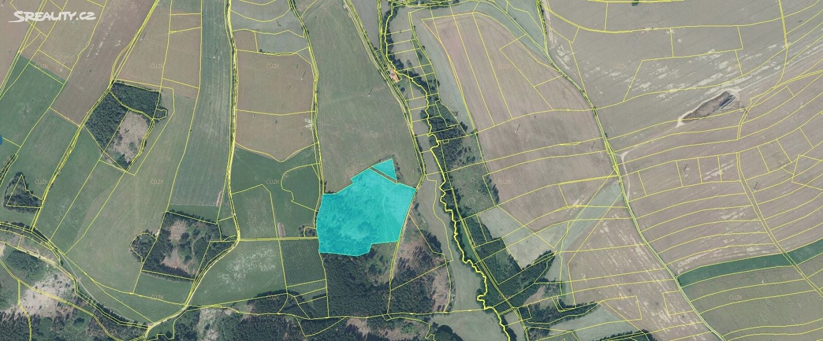 Prodej  lesa 37 005 m², Bystřice nad Pernštejnem - Divišov, okres Žďár nad Sázavou