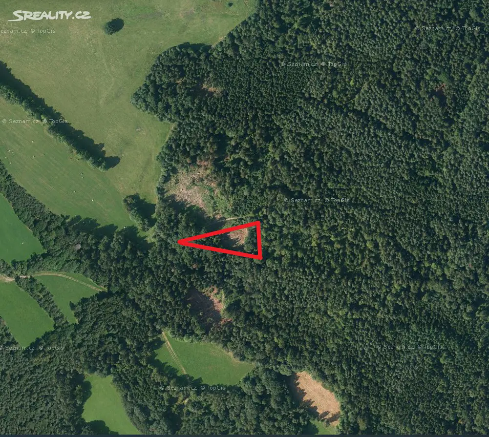 Prodej  lesa 2 046 m², Nebahovy - Jelemek, okres Prachatice