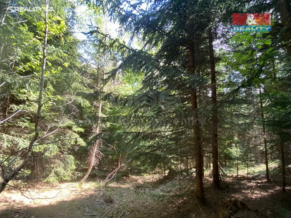 Prodej  lesa 15 542 m², Vysoká Srbská, okres Náchod