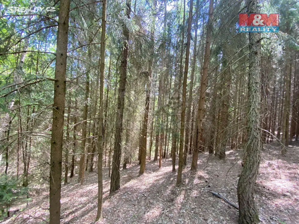 Prodej  lesa 15 542 m², Vysoká Srbská, okres Náchod