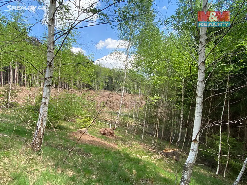 Prodej  lesa 21 024 m², Vysoká Srbská, okres Náchod