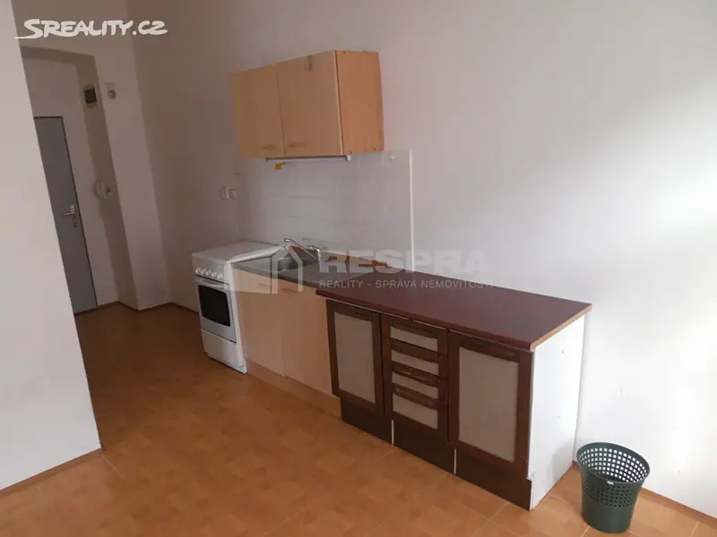 Pronájem bytu 1+1 50 m², Vlkova, Praha 3 - Žižkov