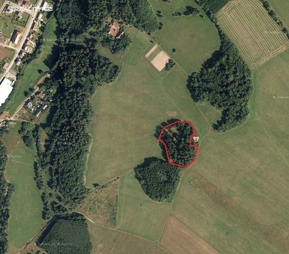 Prodej  lesa 2 064 m², Horní Štěpánov, okres Prostějov
