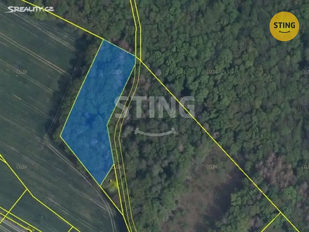 Prodej  lesa 9 142 m², Kramolín, okres Třebíč