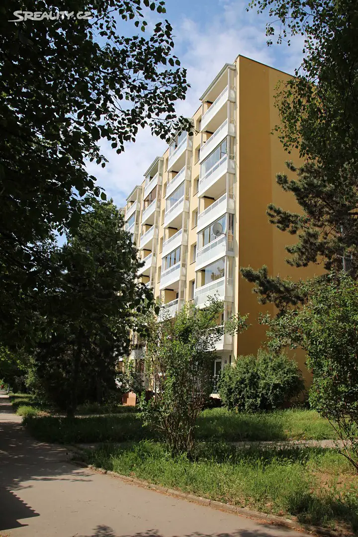 Pronájem bytu 2+1 47 m², Ukrajinská, Brno - Bohunice