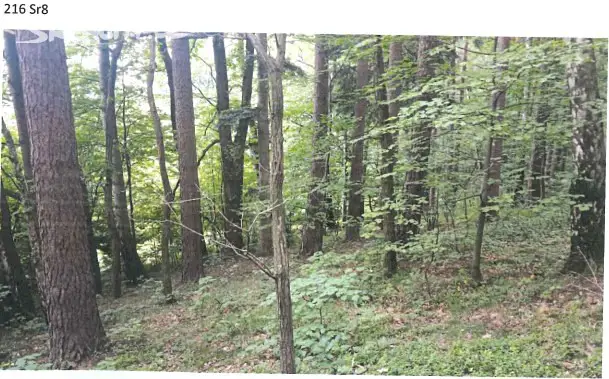 Prodej  lesa 24 692 m², Baška, okres Frýdek-Místek