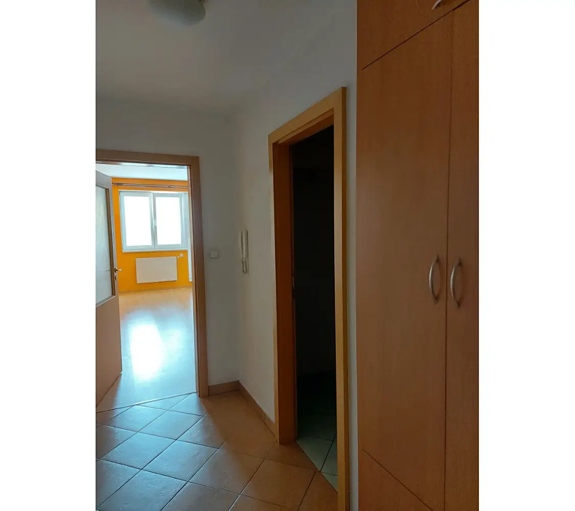 Pronájem bytu 1+1 30 m², Lidická, Brno - Veveří