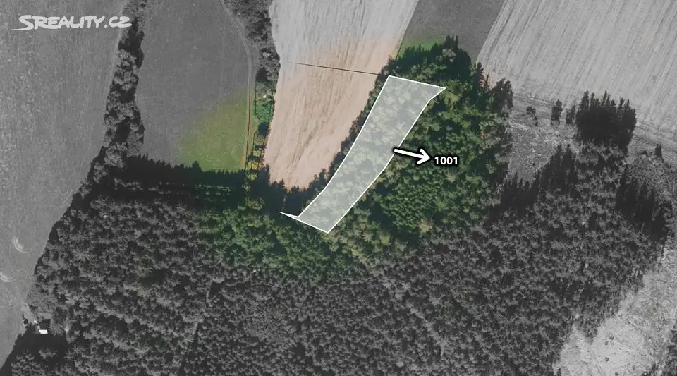 Prodej  lesa 48 238 m², Klatovy, okres Klatovy