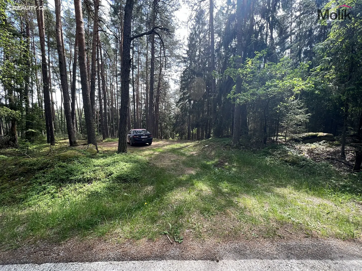 Prodej  lesa 2 123 m², Kadov - Vrbno, okres Strakonice