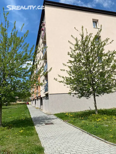 Prodej bytu 1+1 38 m², Frošova, Kostelec nad Orlicí