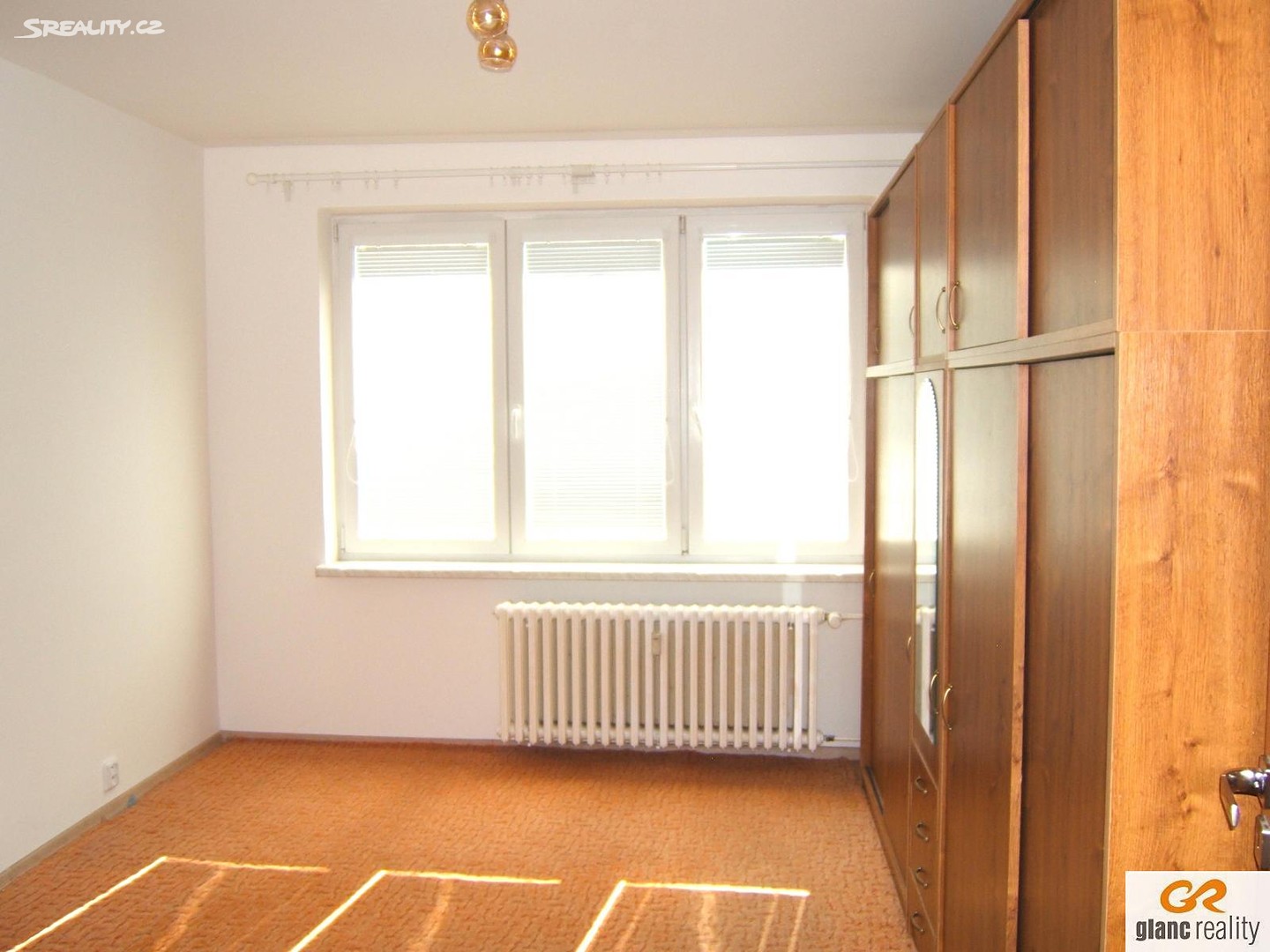 Prodej bytu 2+1 65 m², L. Janáčka, Studénka - Butovice