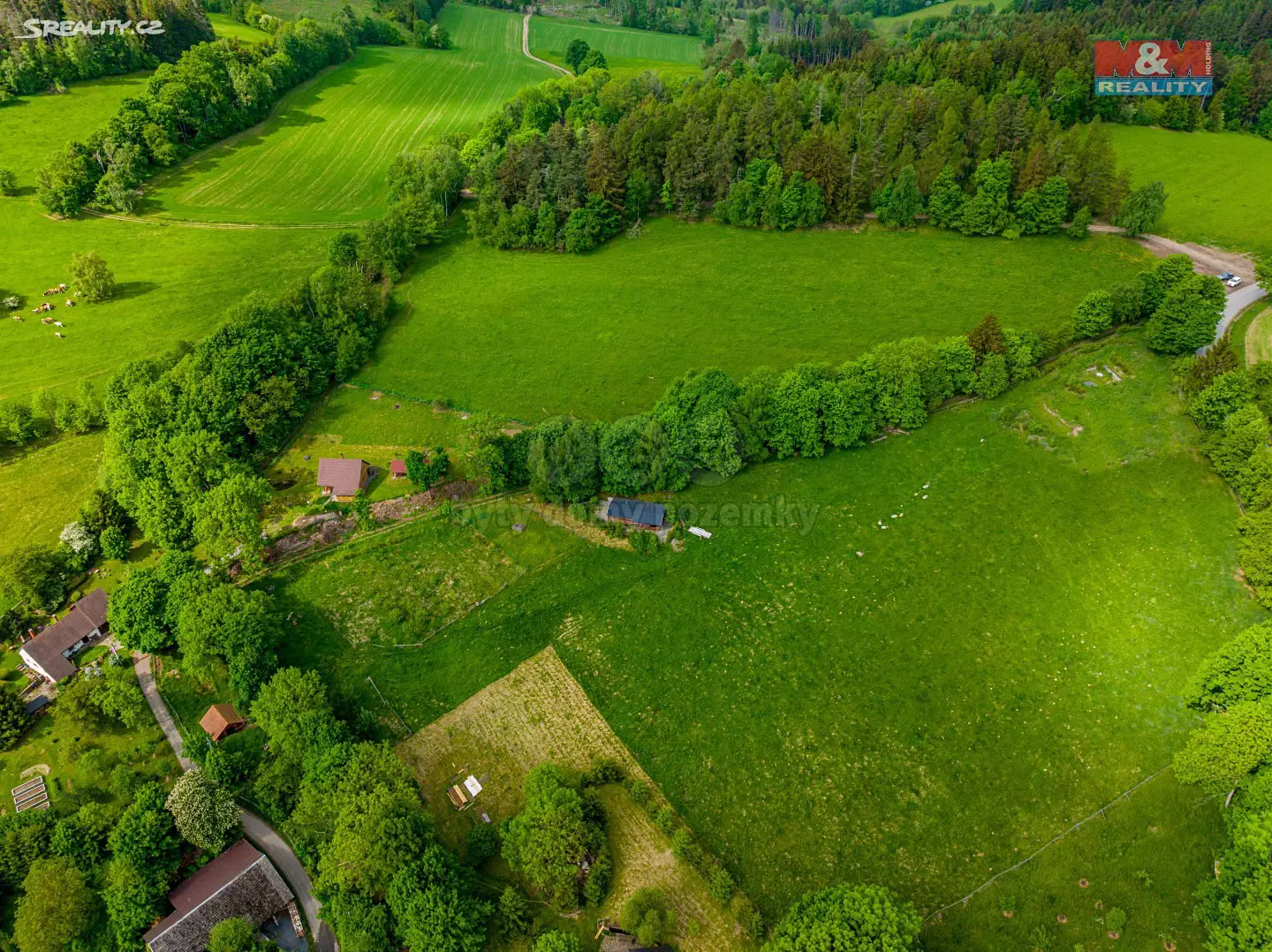 Prodej  chaty 40 m², pozemek 6 000 m², Dalečín - Hluboké, okres Žďár nad Sázavou