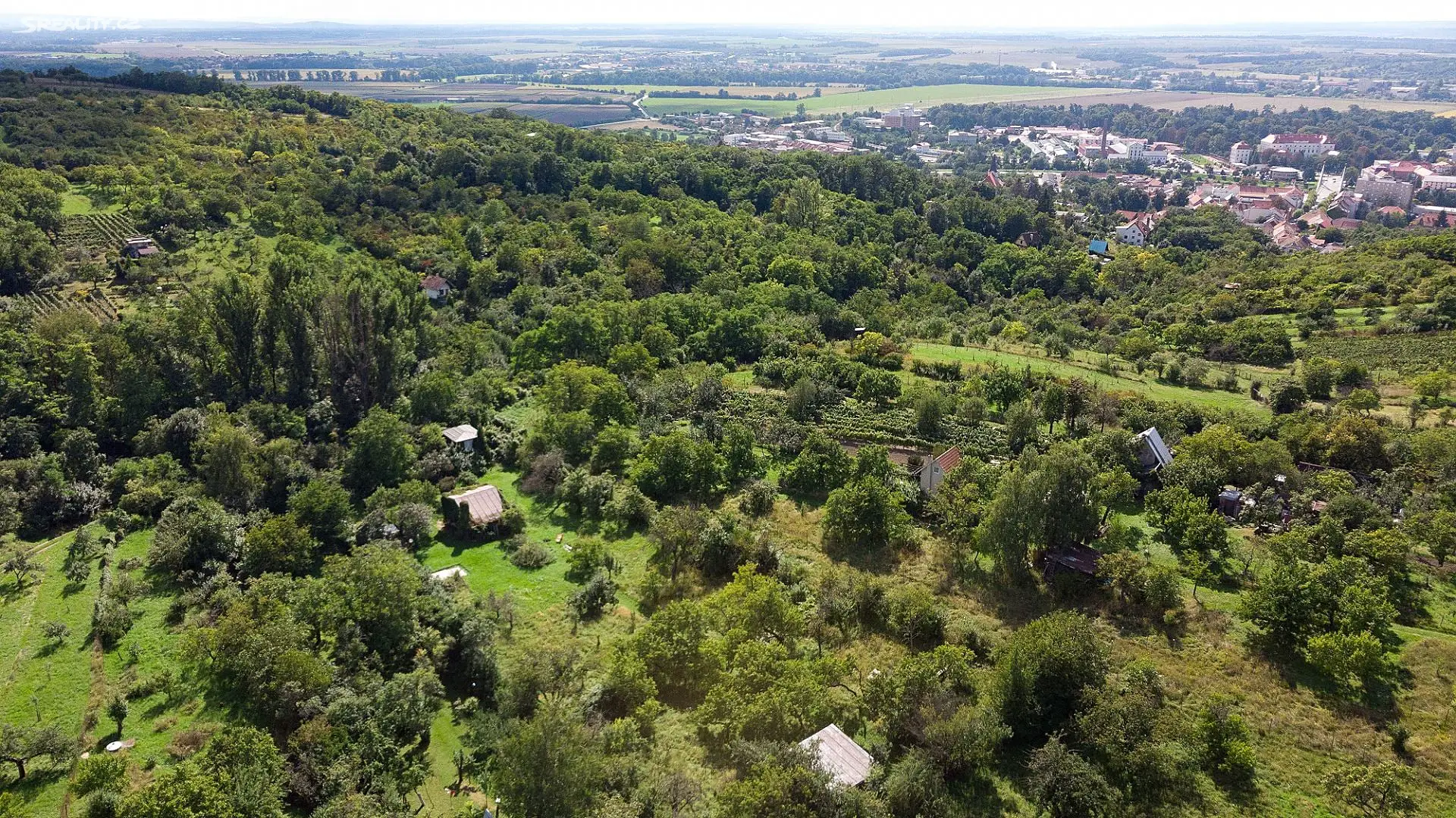 Prodej  chaty 50 m², pozemek 4 000 m², Židlochovice, okres Brno-venkov
