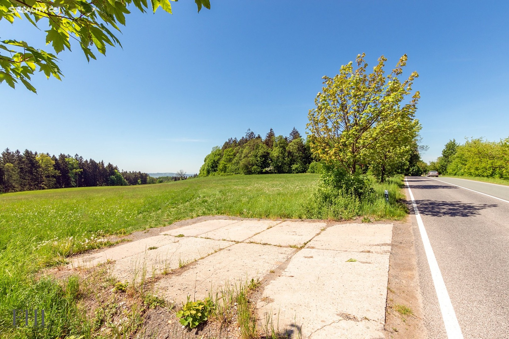 Prodej  louky 65 181 m², Javornice, okres Rychnov nad Kněžnou