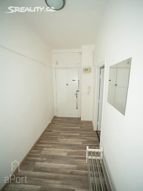 Pronájem bytu 1+1 47 m², Bayerova, Brno - Veveří