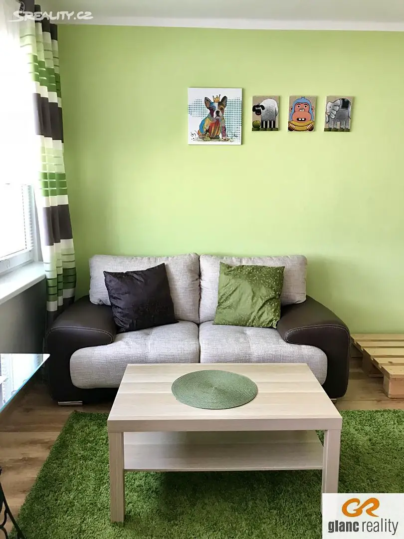 Pronájem bytu 1+1 29 m², Svojsíkova, Ostrava - Poruba