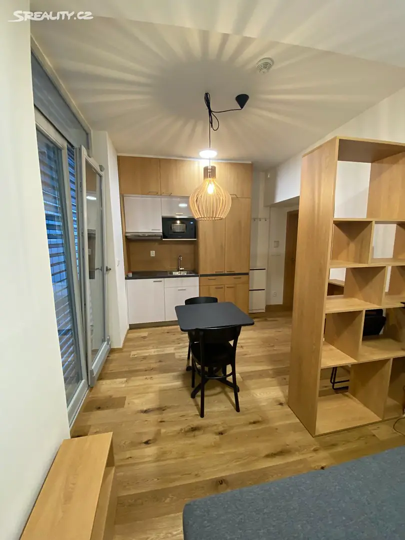 Pronájem bytu 1+kk 24 m², Kamenná, Brno - Štýřice