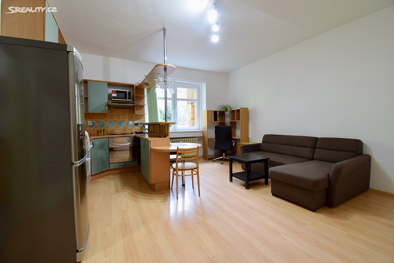 Pronájem bytu 1+kk 34 m², Gorkého, Brno - Veveří