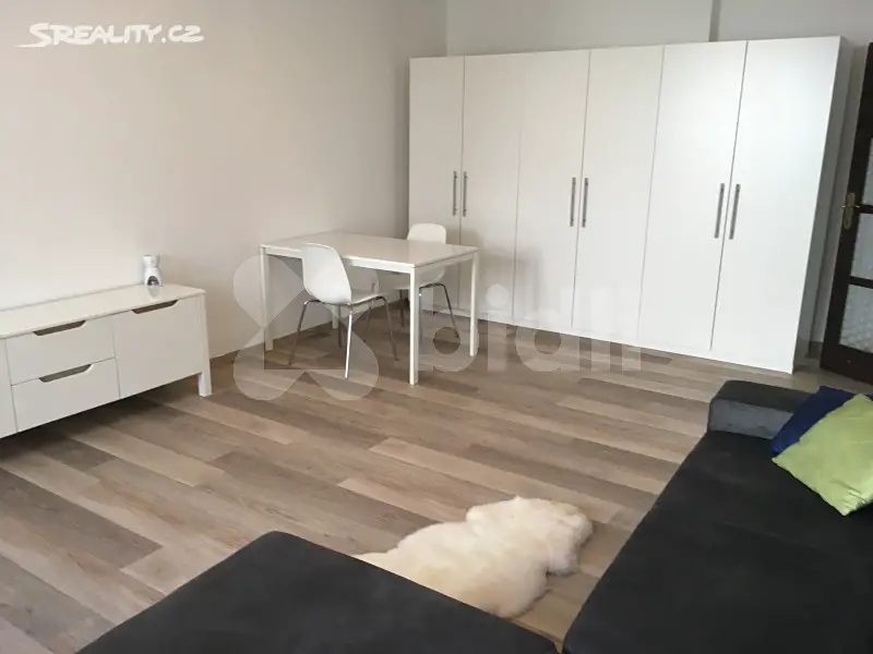 Pronájem bytu 2+1 55 m², 8. května, Olomouc