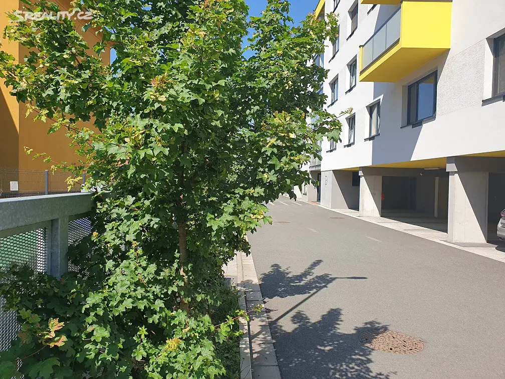 Pronájem bytu 2+kk 56 m², Bratranců Veverkových, Pardubice - Zelené Předměstí