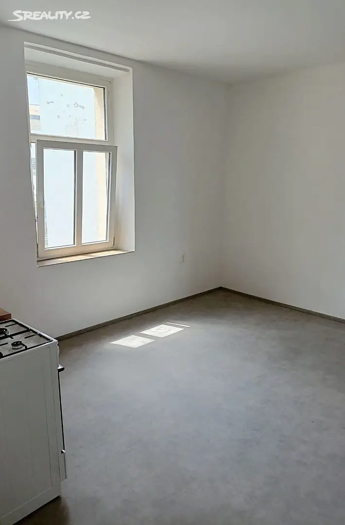 Pronájem bytu 2+kk 50 m², Husova, Plzeň - Jižní Předměstí
