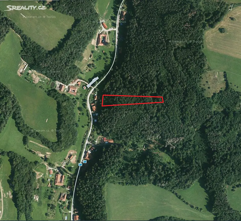 Prodej  lesa 2 703 m², Letovice - Dolní Smržov, okres Blansko
