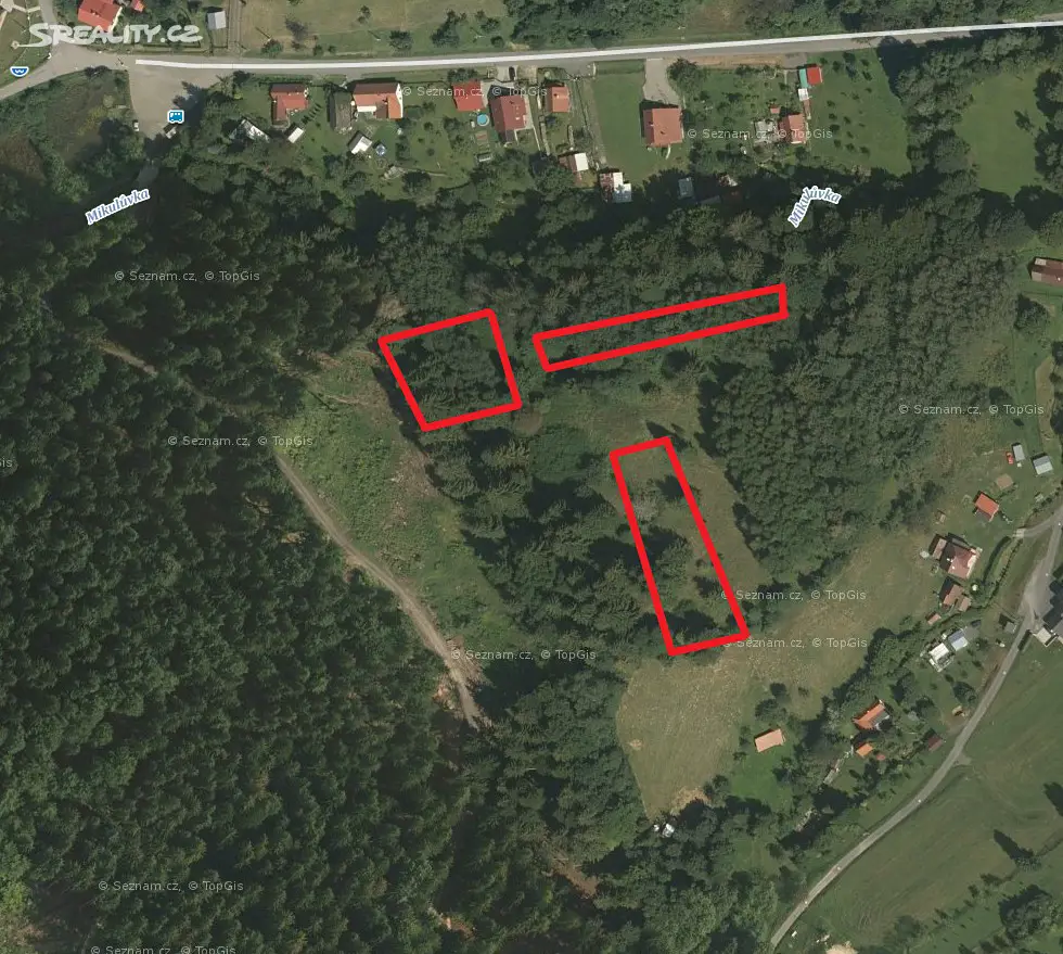 Prodej  lesa 1 907 m², Mikulůvka, okres Vsetín