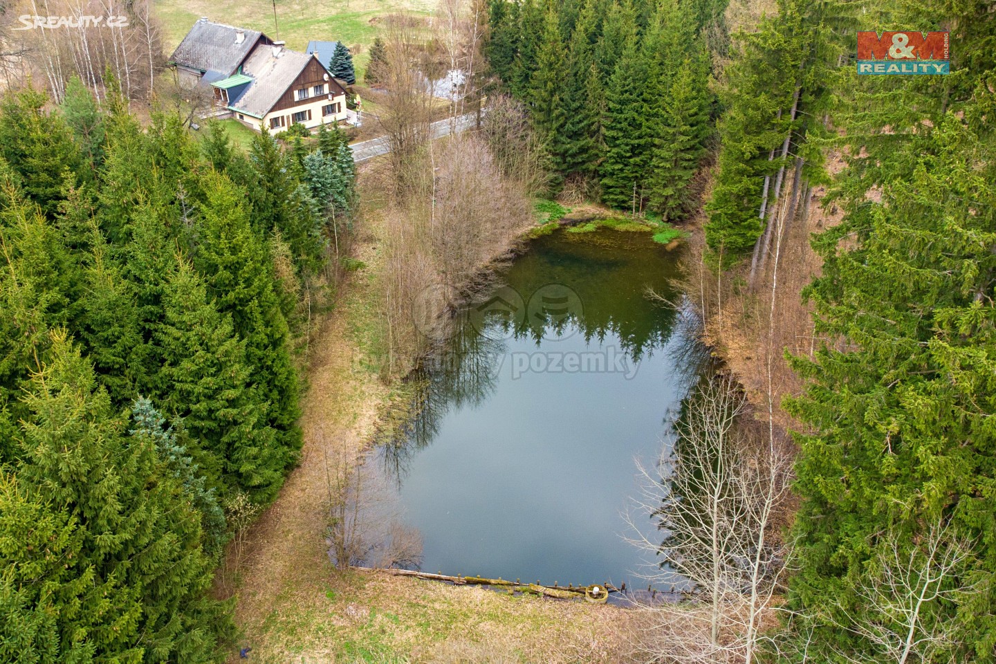 Prodej  lesa 13 191 m², Pastviny, okres Ústí nad Orlicí