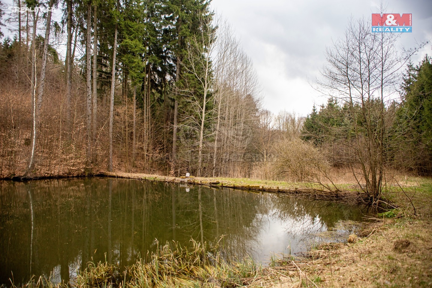 Prodej  lesa 13 191 m², Pastviny, okres Ústí nad Orlicí