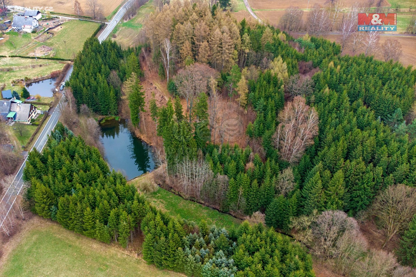 Prodej  lesa 13 191 m², Pastviny, okres Ústí nad Orlicí