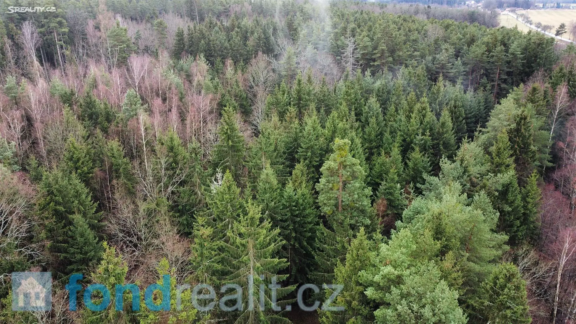 Prodej  lesa 40 687 m², Pístina, okres Jindřichův Hradec