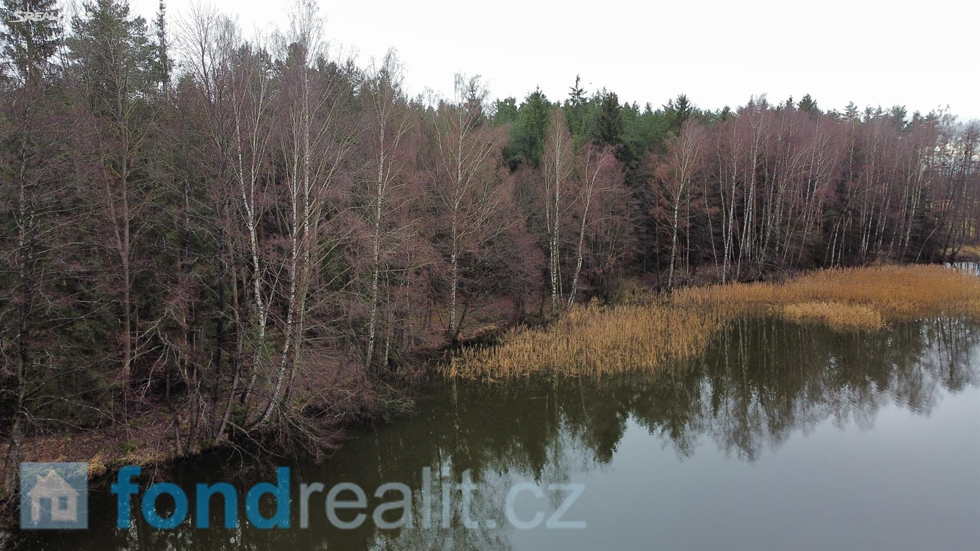Prodej  lesa 40 687 m², Pístina, okres Jindřichův Hradec