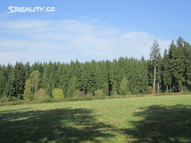 Prodej  lesa 70 320 m², Psárov - Tříklasovice, okres Tábor