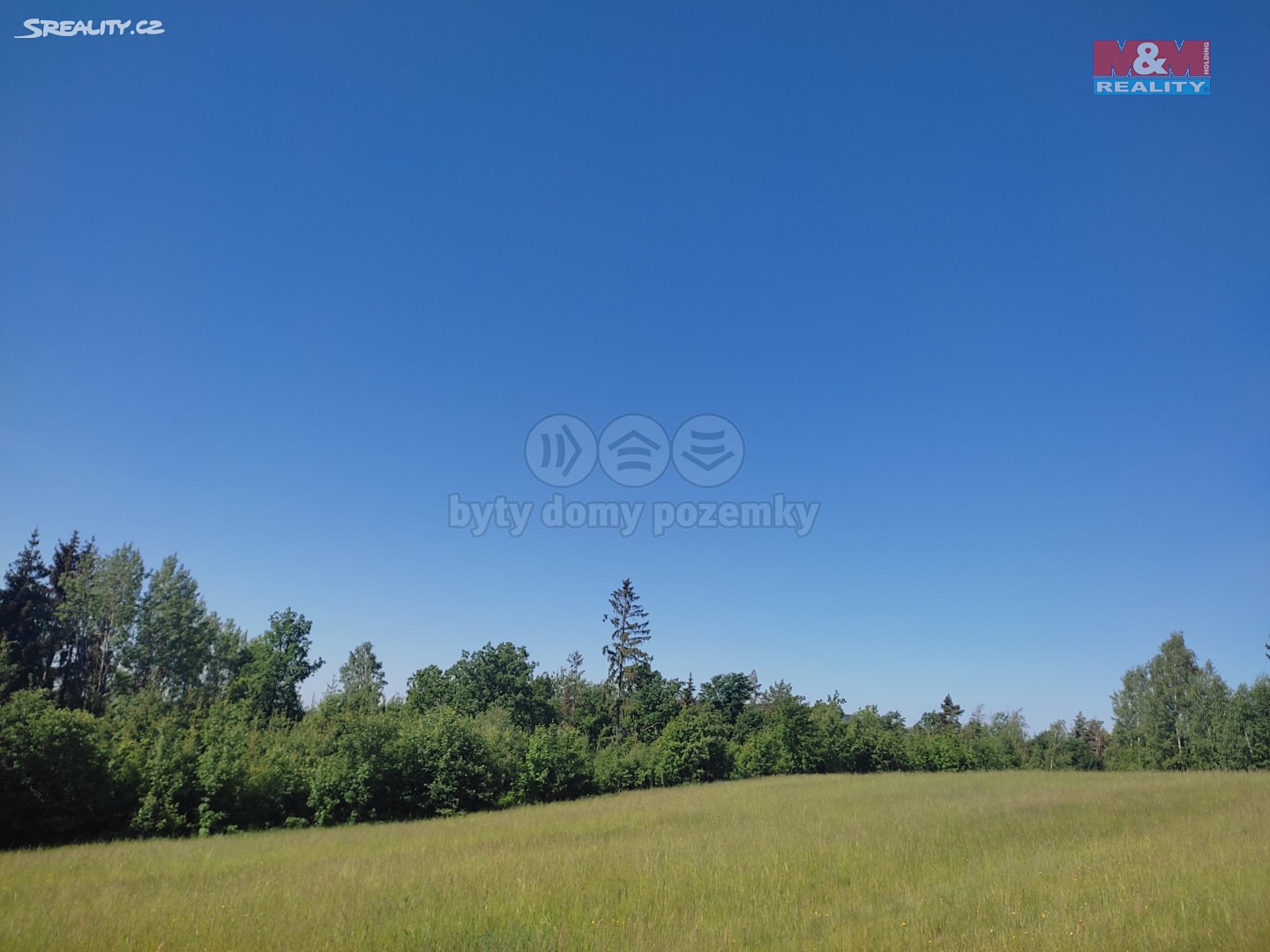 Prodej  lesa 4 932 m², Skuhrov, okres Jablonec nad Nisou